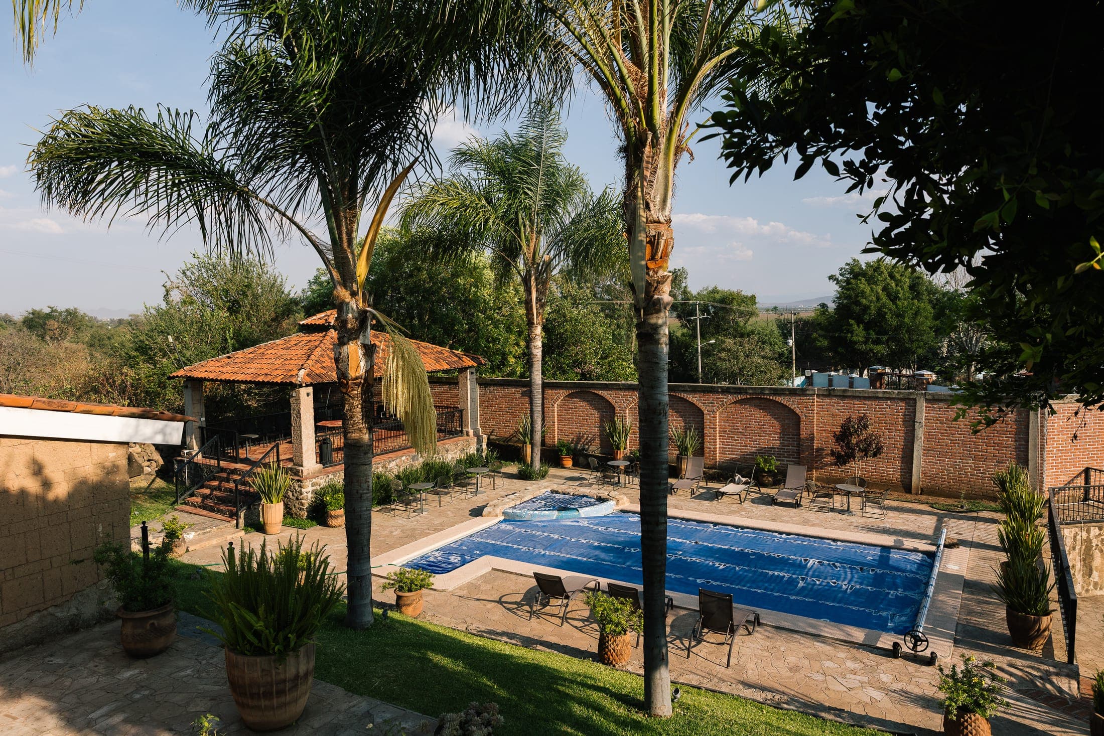 Alberca rodeada de palmeras y jardín